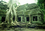cambodia - angkor wat 8.jpg